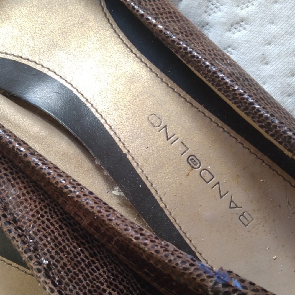 Shoes - Picture 2 of 5